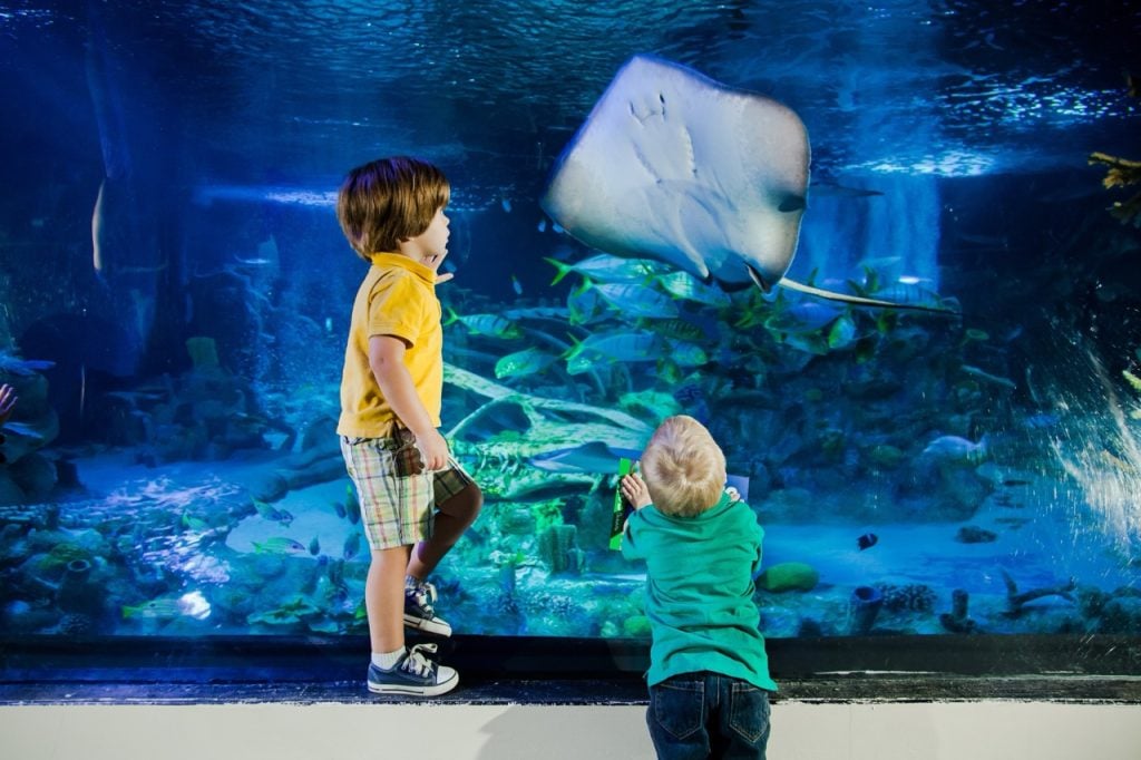 Sea Life Aquarium Legoland