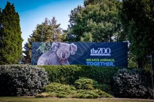 Louisville Zoo