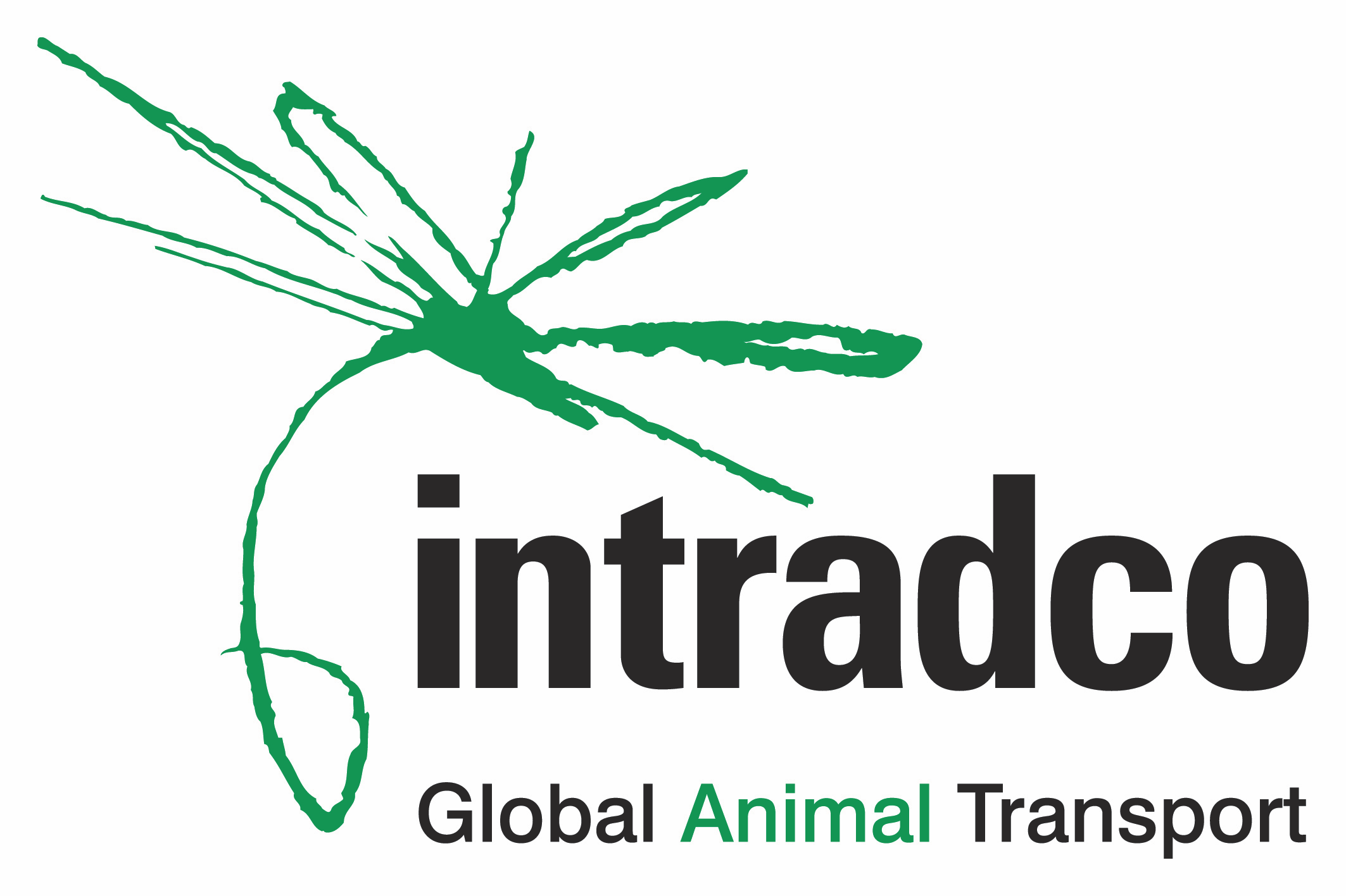 Intradco_logo_C_CMYK